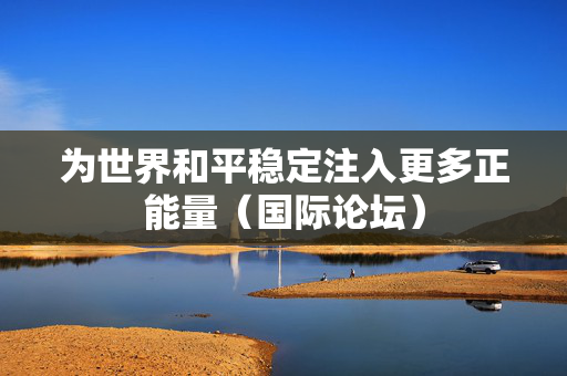 为世界和平稳定注入更多正能量（国际论坛）