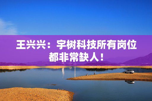 王兴兴：宇树科技所有岗位都非常缺人！