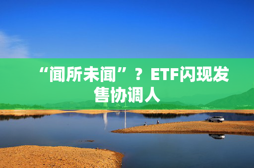 “闻所未闻”？ETF闪现发售协调人