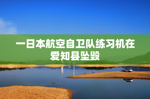 一日本航空自卫队练习机在爱知县坠毁