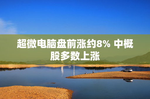 超微电脑盘前涨约8% 中概股多数上涨