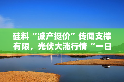 硅料“减产挺价”传闻支撑有限，光伏大涨行情“一日游”，板块市值蒸发153亿