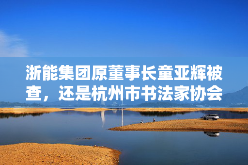 浙能集团原董事长童亚辉被查，还是杭州市书法家协会主席