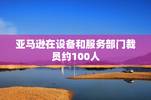 亚马逊在设备和服务部门裁员约100人