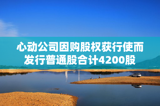 心动公司因购股权获行使而发行普通股合计4200股