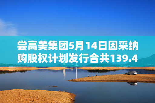 尝高美集团5月14日因采纳购股权计划发行合共139.4万股