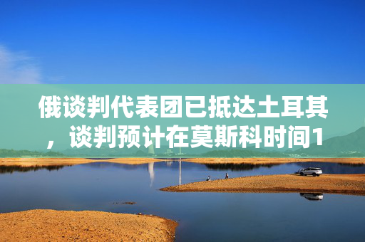 俄谈判代表团已抵达土耳其，谈判预计在莫斯科时间10时左右开始