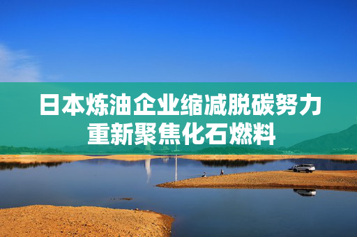 日本炼油企业缩减脱碳努力 重新聚焦化石燃料