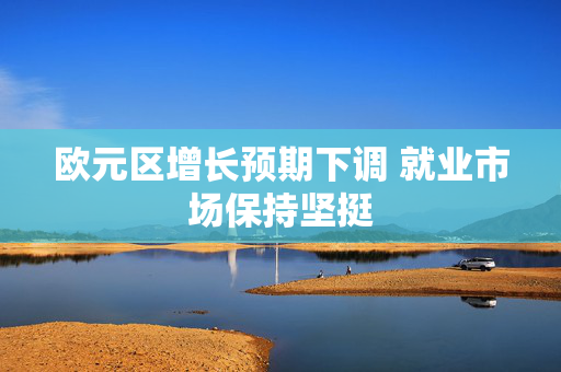 欧元区增长预期下调 就业市场保持坚挺
