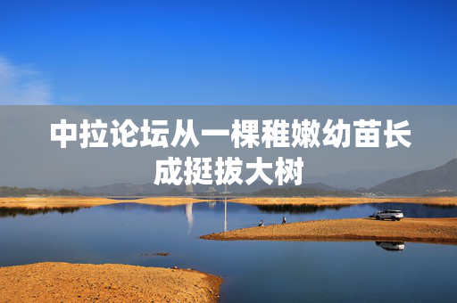 中拉论坛从一棵稚嫩幼苗长成挺拔大树