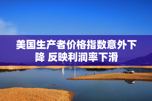 美国生产者价格指数意外下降 反映利润率下滑