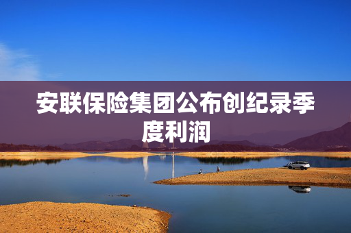 安联保险集团公布创纪录季度利润