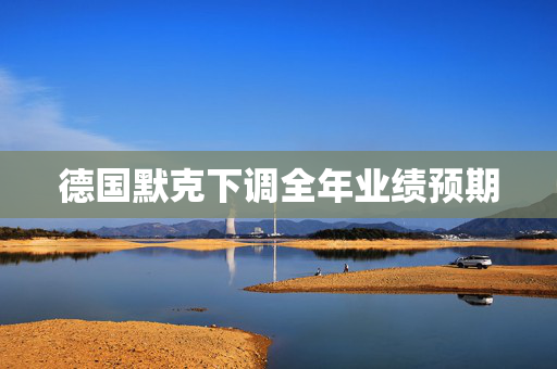 德国默克下调全年业绩预期