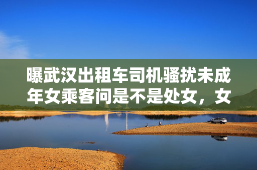 曝武汉出租车司机骚扰未成年女乘客问是不是处女，女乘客：当时穿着汉服，并不暴露