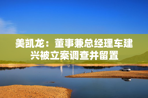 美凯龙：董事兼总经理车建兴被立案调查并留置