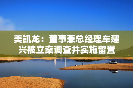 美凯龙：董事兼总经理车建兴被立案调查并实施留置