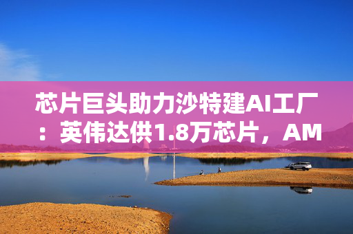 芯片巨头助力沙特建AI工厂：英伟达供1.8万芯片，AMD也参与