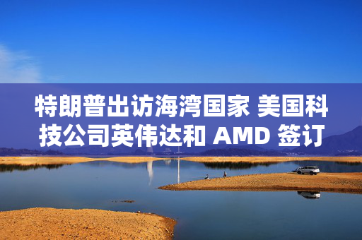 特朗普出访海湾国家 美国科技公司英伟达和 AMD 签订人工智能协议