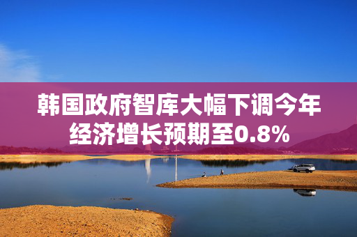 韩国政府智库大幅下调今年经济增长预期至0.8%