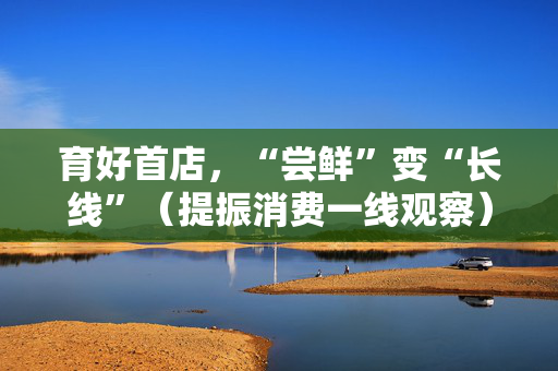 育好首店，“尝鲜”变“长线”（提振消费一线观察）