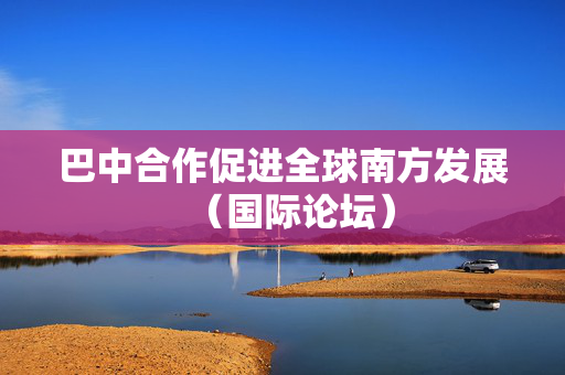 巴中合作促进全球南方发展（国际论坛）