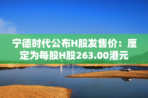 宁德时代公布H股发售价：厘定为每股H股263.00港元