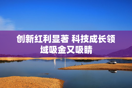 创新红利显著 科技成长领域吸金又吸睛