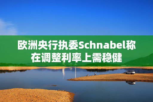 欧洲央行执委Schnabel称在调整利率上需稳健