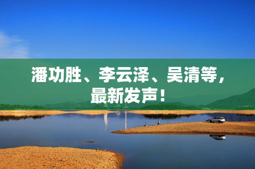 潘功胜、李云泽、吴清等，最新发声！