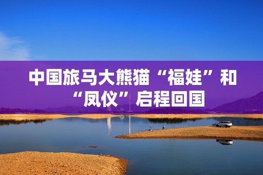 中国旅马大熊猫“福娃”和“凤仪”启程回国