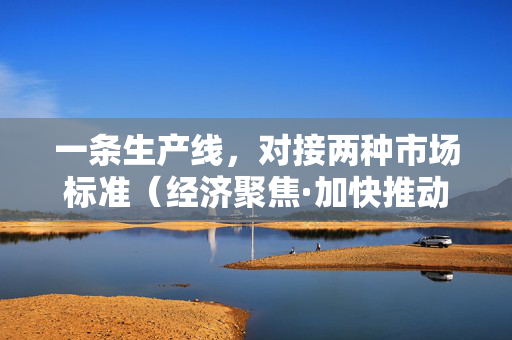 一条生产线，对接两种市场标准（经济聚焦·加快推动内外贸一体化）