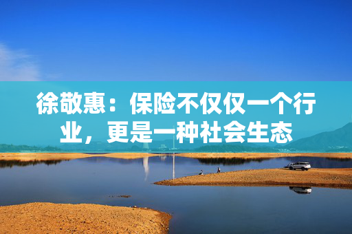 徐敬惠：保险不仅仅一个行业，更是一种社会生态