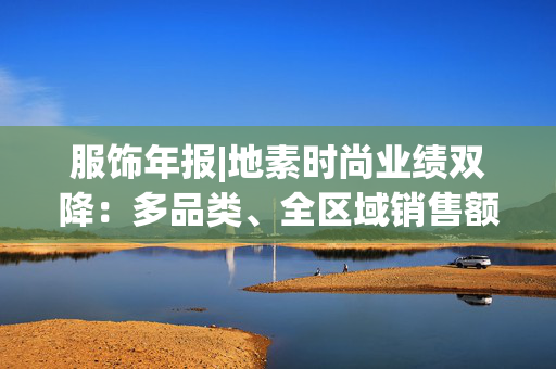 服饰年报|地素时尚业绩双降：多品类、全区域销售额下降 存货增加且周转效率下降