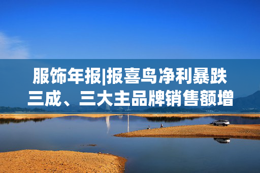 服饰年报|报喜鸟净利暴跌三成、三大主品牌销售额增长乏力 战略扩张与财务承压的双重困局