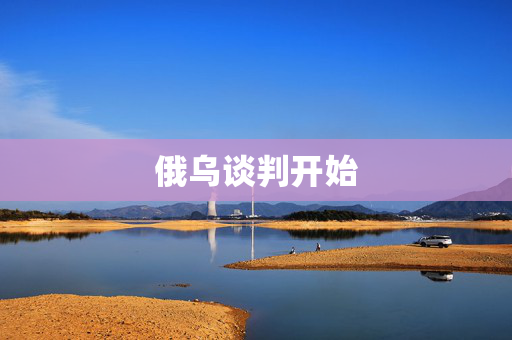 俄乌谈判开始