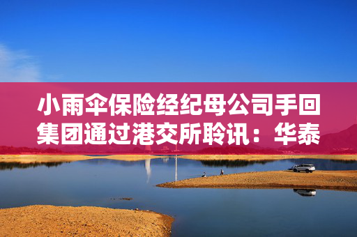 小雨伞保险经纪母公司手回集团通过港交所聆讯：华泰、中金联席保荐 连续两年亏损