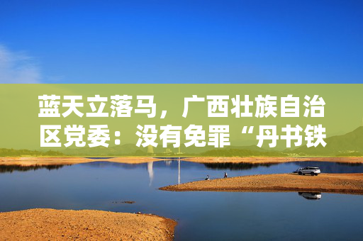 蓝天立落马，广西壮族自治区党委：没有免罪“丹书铁券”，也没有“铁帽子王”