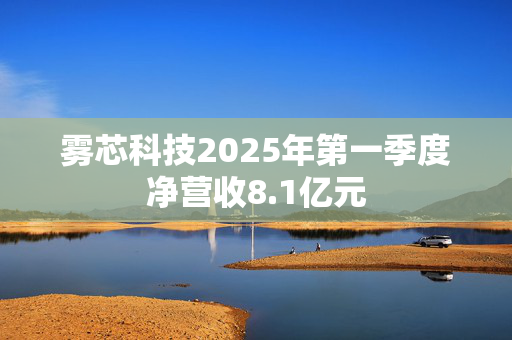 雾芯科技2025年第一季度净营收8.1亿元