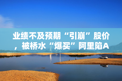 业绩不及预期“引崩”股价，被桥水“爆买”阿里陷AI叙事“阵痛”