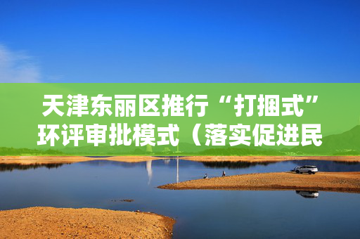 天津东丽区推行“打捆式”环评审批模式（落实促进民营经济发展的政策措施）
