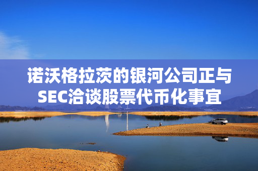 诺沃格拉茨的银河公司正与SEC洽谈股票代币化事宜