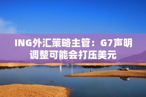 ING外汇策略主管：G7声明调整可能会打压美元
