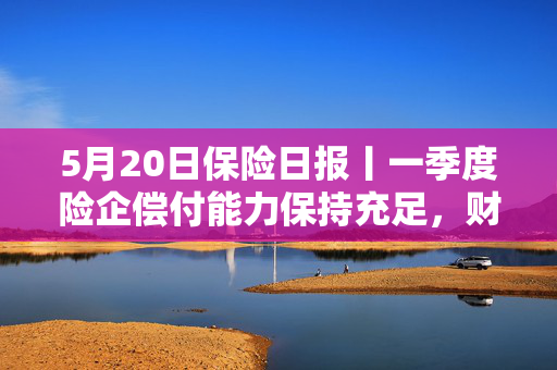 5月20日保险日报丨一季度险企偿付能力保持充足，财险公司头部承包八成净利润，代理人面临终局之战