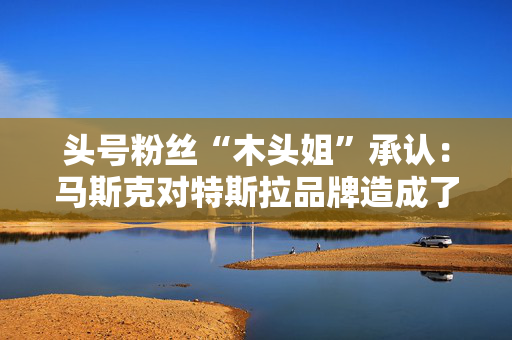 头号粉丝“木头姐”承认：马斯克对特斯拉品牌造成了损害