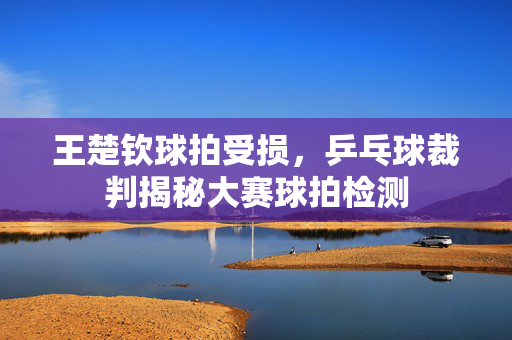 王楚钦球拍受损，乒乓球裁判揭秘大赛球拍检测