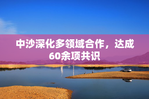 中沙深化多领域合作，达成60余项共识