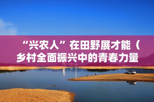 “兴农人”在田野展才能（乡村全面振兴中的青春力量）