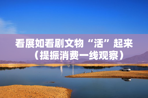 看展如看剧文物“活”起来（提振消费一线观察）