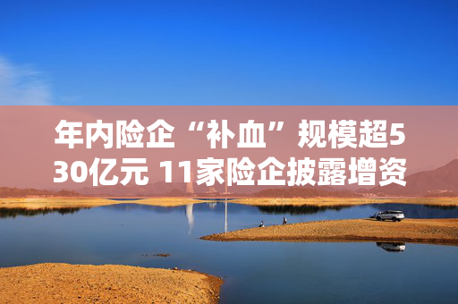 年内险企“补血”规模超530亿元 11家险企披露增资计划