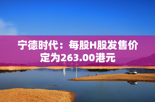 宁德时代：每股H股发售价定为263.00港元